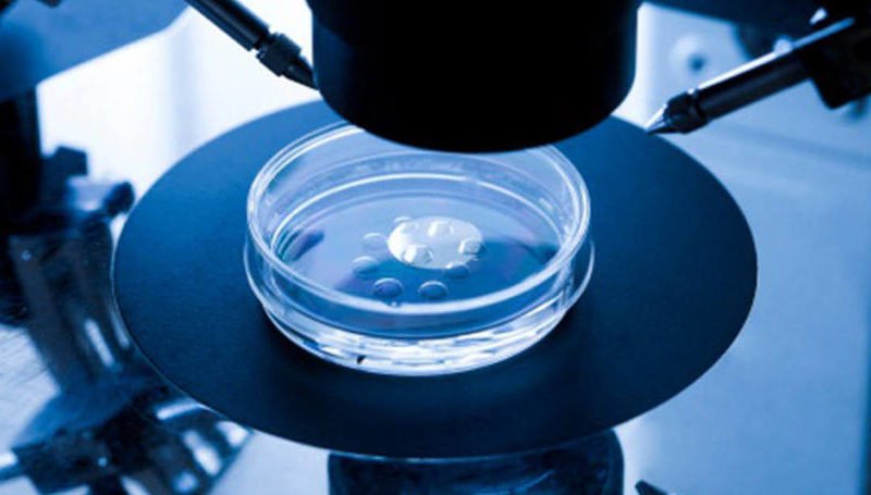ivf cycle