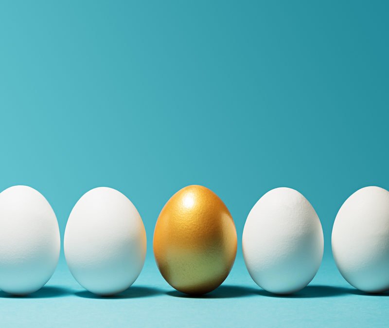 Egg donation